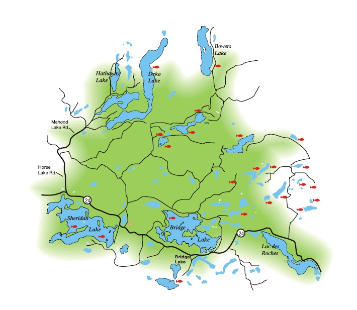 Caribou Lakes Illustration By Coho Design