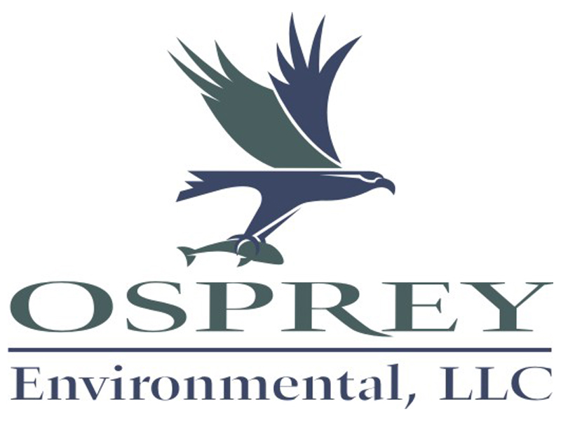 Osprey Logo Design by Coho Design