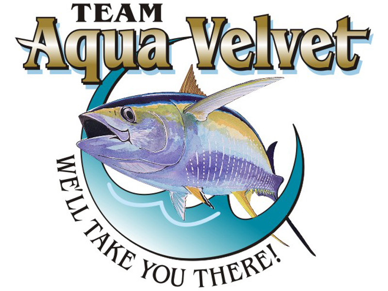 Team Aqua Velvet Logo by Coho Design