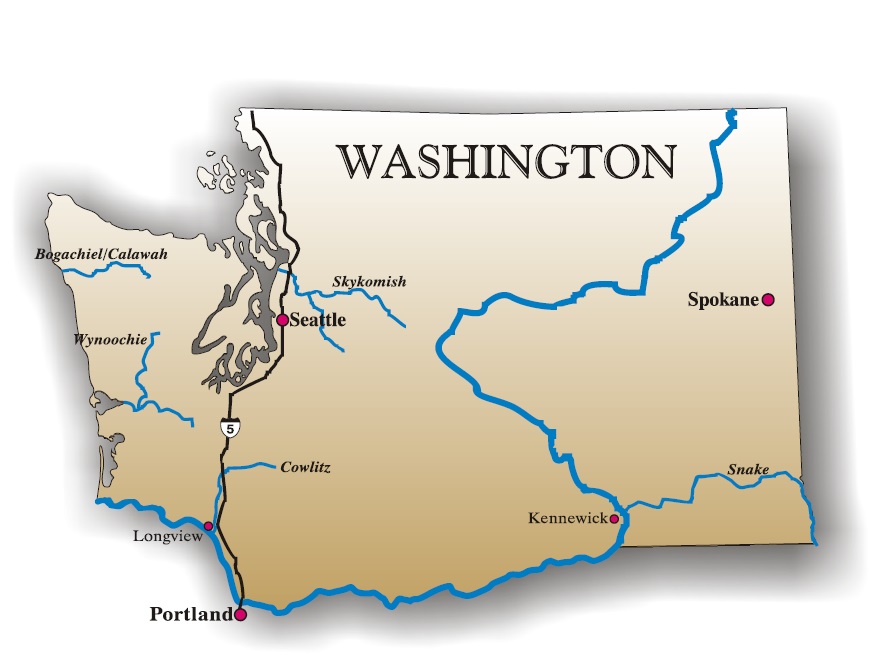 Washington State Illustration by Coho Design